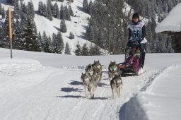 Kandersteg 2013